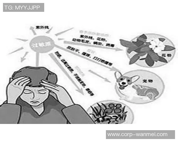 足球流氓文化的兴起与影响探讨及其在社会中的反思与应对措施